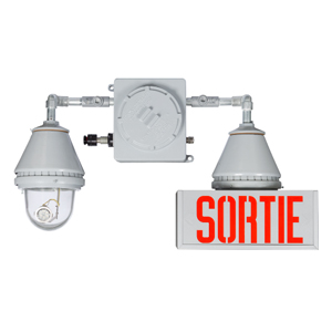 SÉRIE LDX-EXP-S DEL (Fin de série)